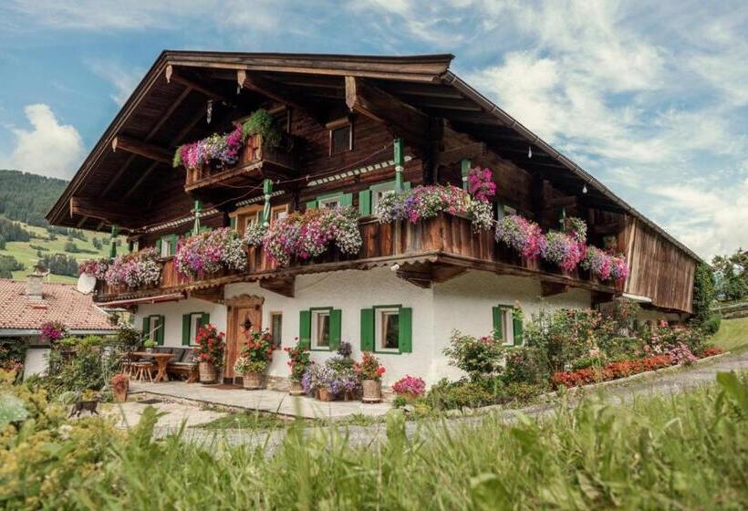 Номер Стандарт, Branderhof
