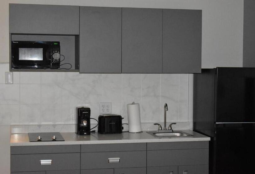 장애인을 위한 스위트, Mainstay Suites Msp Airport   Mall Of America