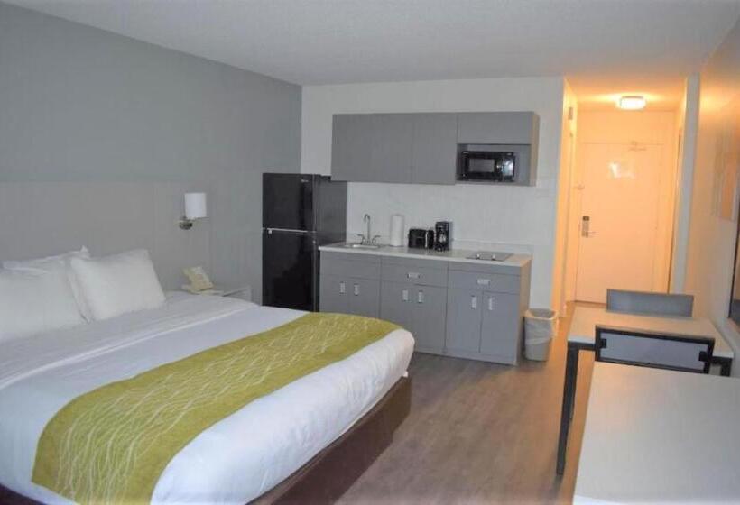스탠다드 룸 킹사이즈 침대, Mainstay Suites Msp Airport   Mall Of America
