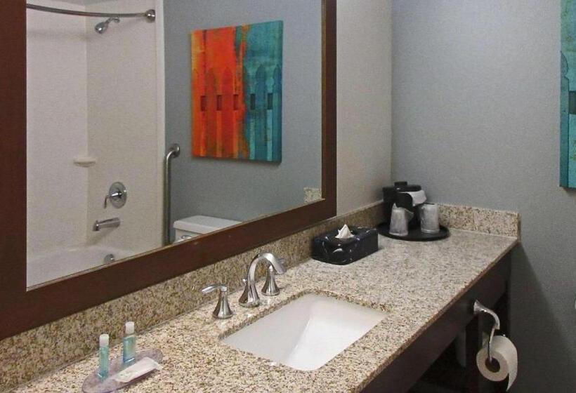 스탠다드 룸 킹사이즈 침대, Mainstay Suites Msp Airport   Mall Of America