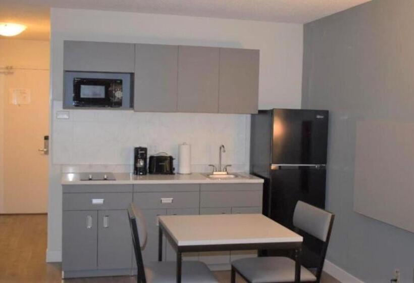 스탠다드 룸, Mainstay Suites Msp Airport   Mall Of America