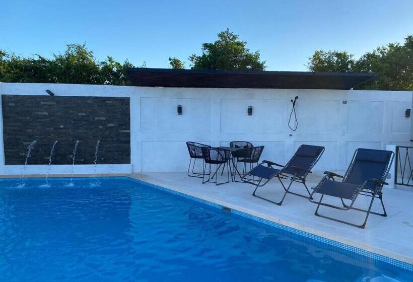 Номер Стандарт, Lofts Terra Nuevo Vallarta