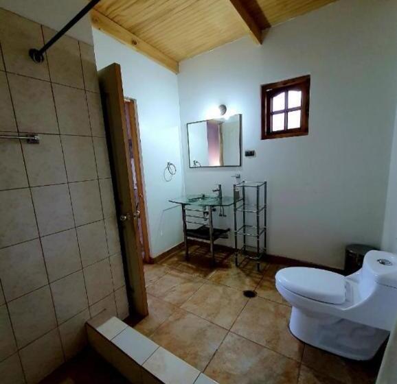 Люкс Вид на Сад, Hostal Don Felix