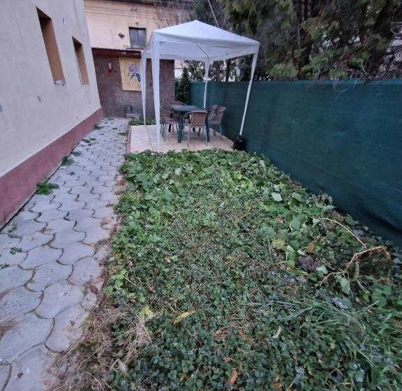 חדר סטנדרט, Casa Thomas Cluj