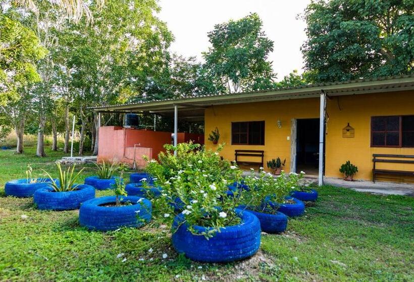 اتاق استاندارد, Posada Barahona