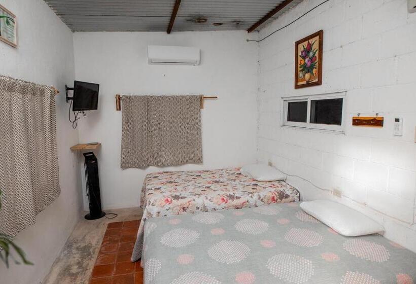 اتاق استاندارد, Posada Barahona