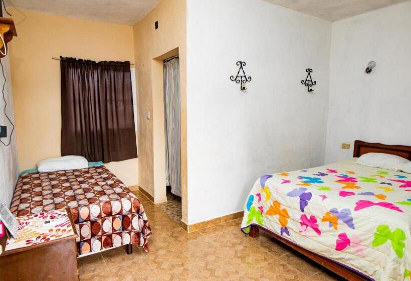 اتاق اکونومی, Posada Barahona