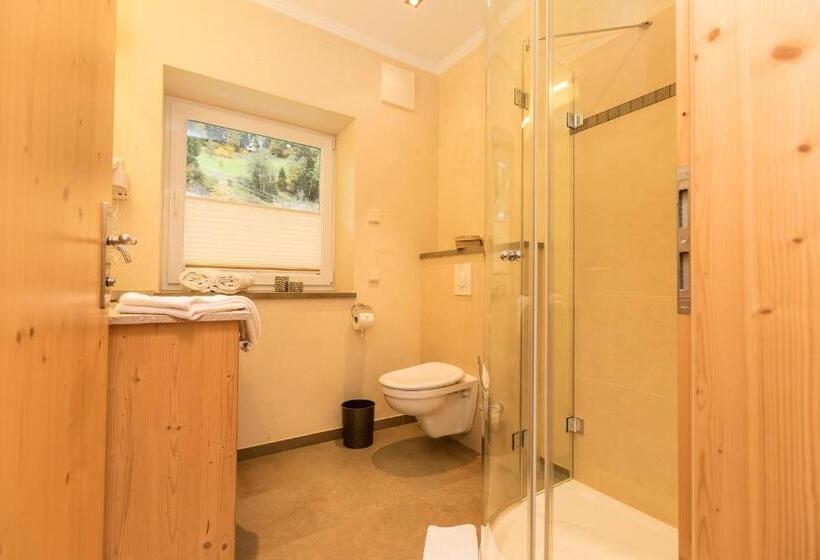 اتاق استاندارد, Alpenhof Apartments