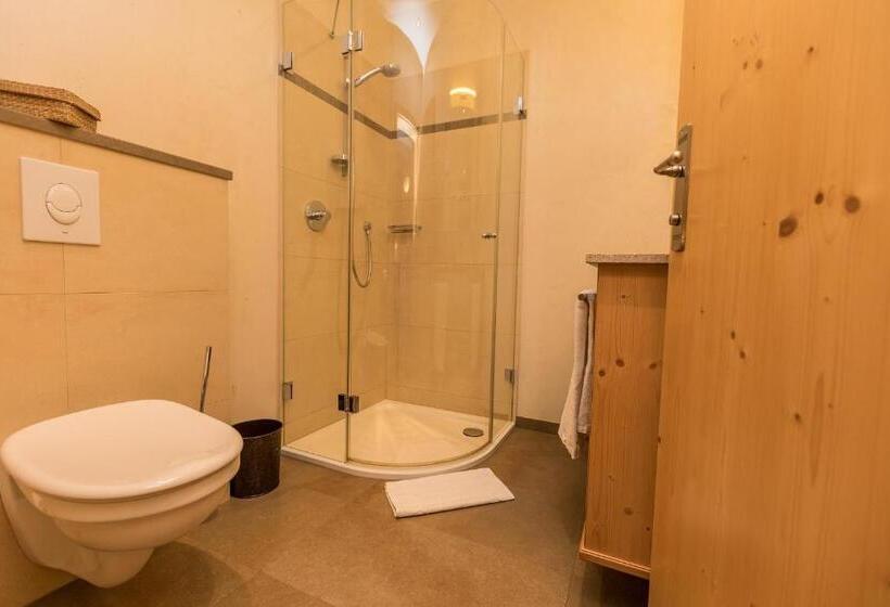 استودیو استاندارد با بالکن, Alpenhof Apartments