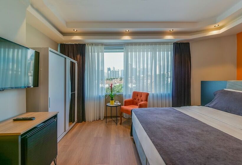 豪华房间, Rise Inn
