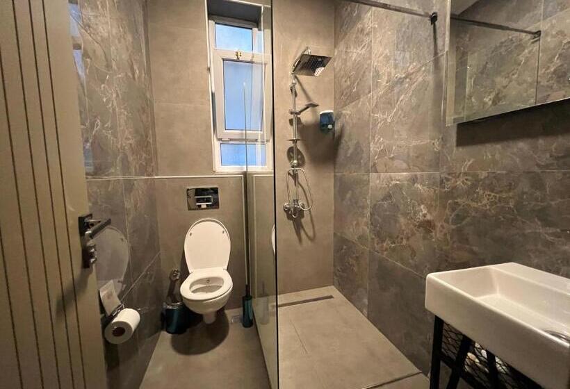 آپارتمان 1 خوابه همکف, Roj Suite