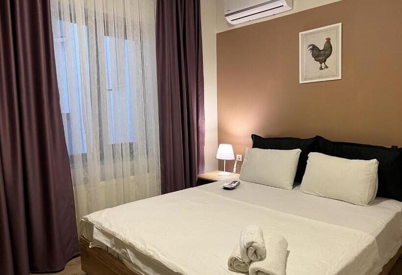 آپارتمان 1 خوابه همکف, Roj Suite