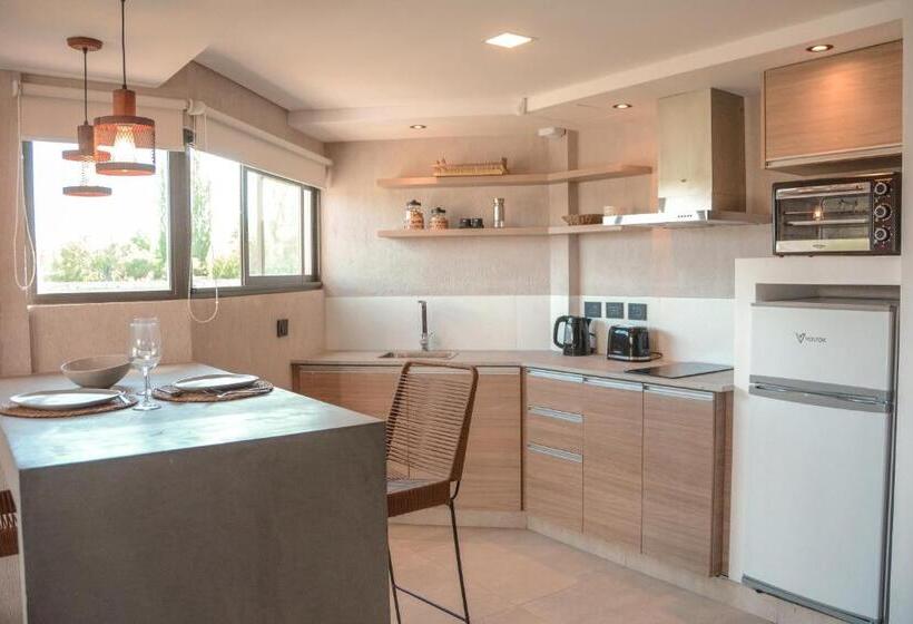 디럭스 스위트, Agrelo Vines Lodge