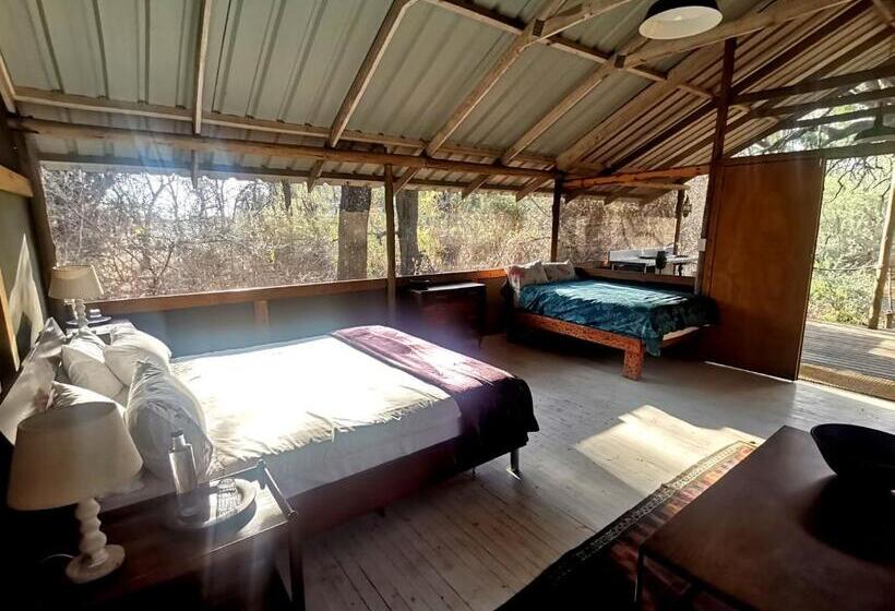 اتاق استاندارد, The Tshilli Farm & Lodge