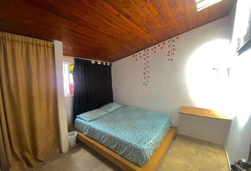 스탠다드 룸 공동 욕실, Tahamies Hostal   Artesanos Y Turistas