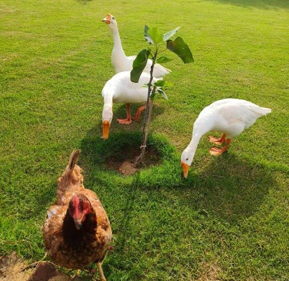 家庭房带园景, Girisadan Organic Farm Retreat & Botanical Forest