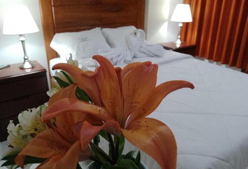 اتاق استاندارد یک نفره, Los Andes Suite