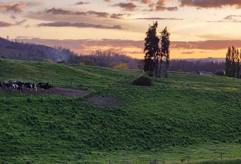 Стандартный Номер Кровать Кинг, A Stunning Retreat In Rotorua!