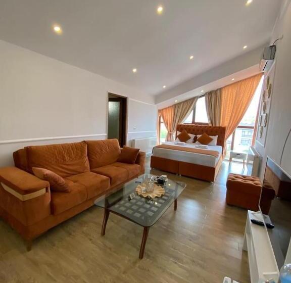 اتاق سوپریور با تخت بزرگ, Ami Residence Bucharest Airport&therme&parking