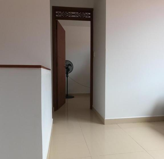 Студия Стандарт, Colonial