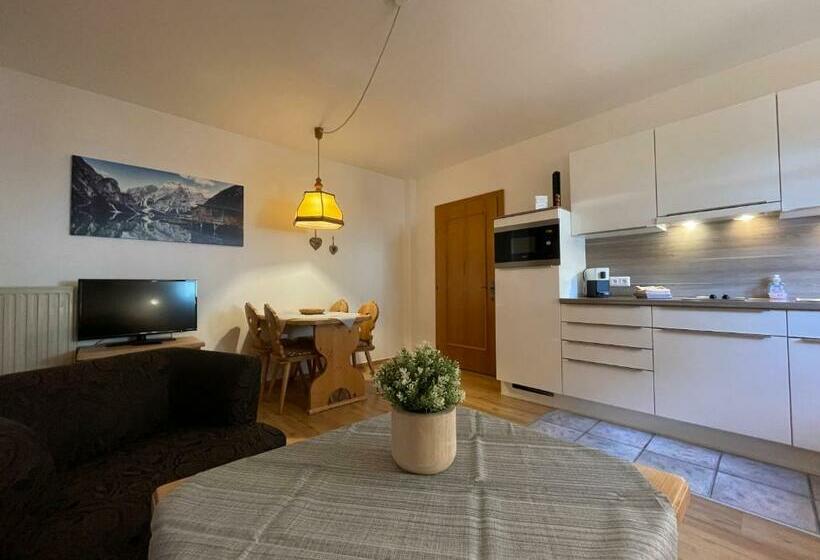 آپارتمان 1 خوابه با بالکن, Appartements Diana