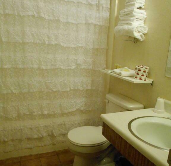 اتاق استاندارد با تخت بزرگ, Victorian Inn