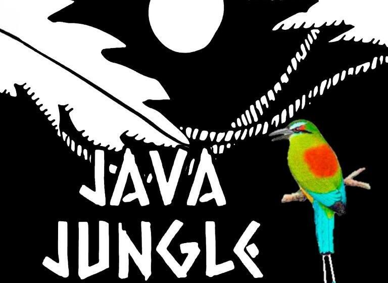 اتاق استاندارد, Java Jungle