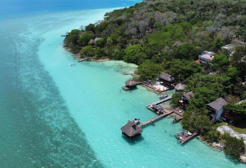 １ベッドルームのデラックスアパートメント, Xoot Ka Ana Luxury, Villa Las Flores