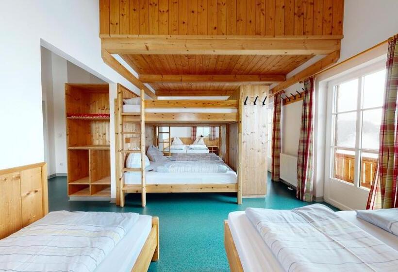 تختخواب در اتاق مشترک, Pinzgauer Hütte Zell Am See  Piesendorf