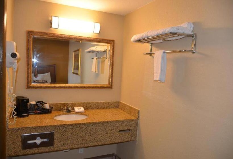 Номер Deluxe, Regency Inn