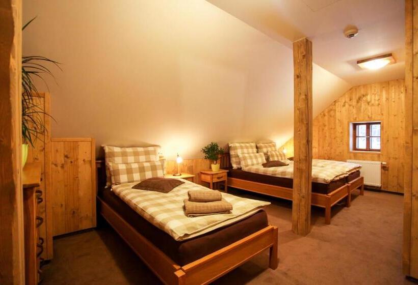 Трехместный Номер Deluxe, Residence Buffalo