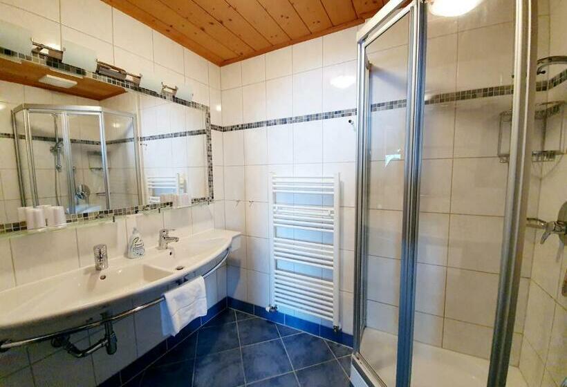 Апартаменты 2 Спальни, Austria Appart