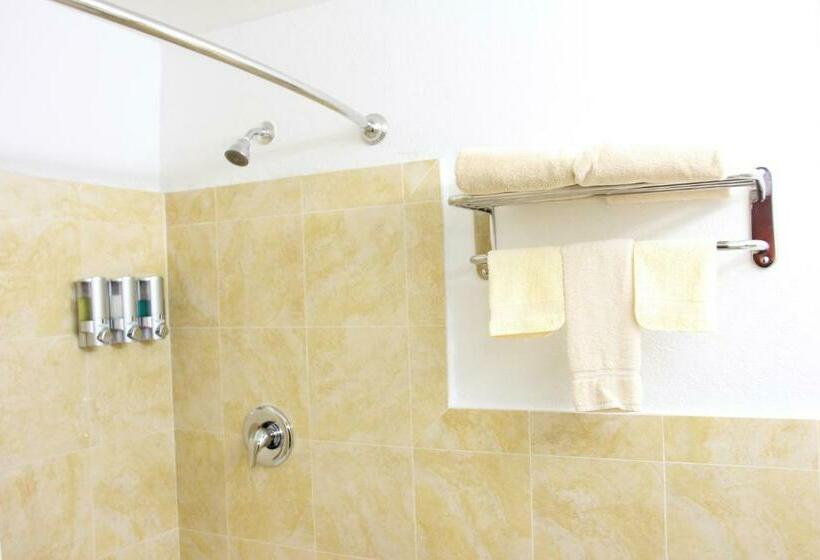 스탠다드 룸 킹사이즈 침대, Budget Inn Lake Wales
