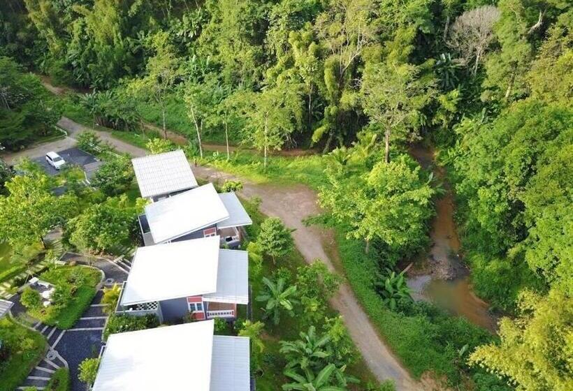 Номер Стандарт с Балконом, Bangnu Greenery Resort