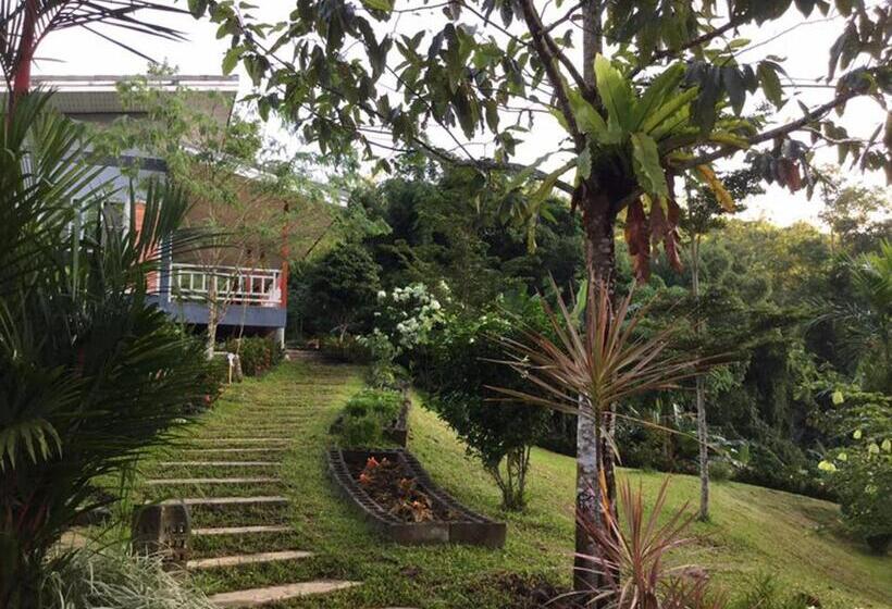 Family Suite, Bangnu Greenery Resort
