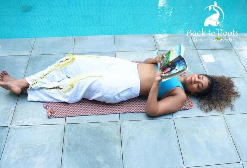 Полулюкс, Back To Roots Ayurveda Retreat