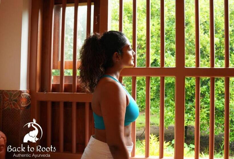 Номер Deluxe Кровать Кинг, Back To Roots Ayurveda Retreat