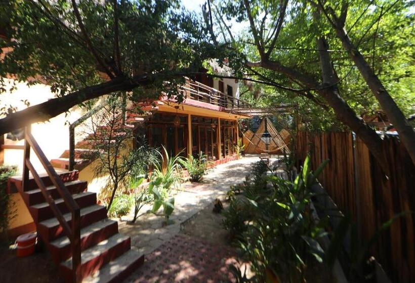 اتاق لوکس, Casa Ava