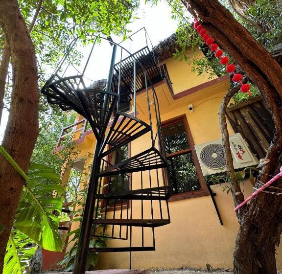 اتاق استاندارد, Casa Ava