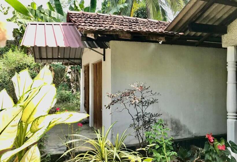 Номер Стандарт Вид на Сад, Lucky S Homestay