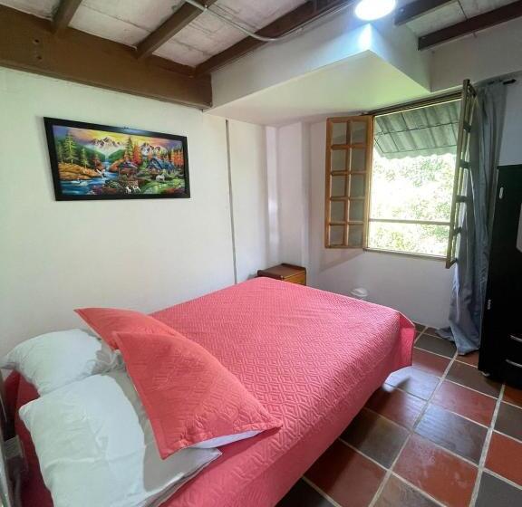 스탠다드 룸, Xplora Hostel