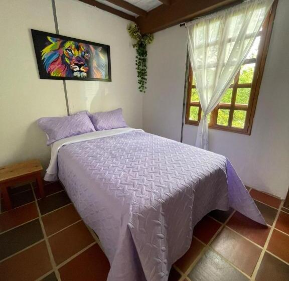 스탠다드 싱글 룸, Xplora Hostel