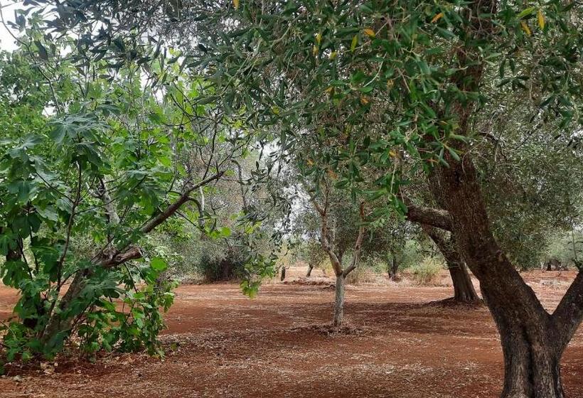 1베드룸 아파트 1층, Casa Trullo Bianco: Casa Vicino