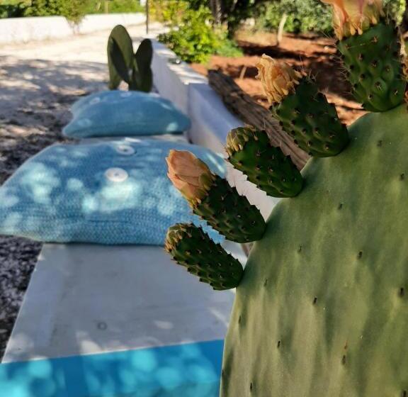 1베드룸 아파트 1층, Casa Trullo Bianco: Casa Vicino