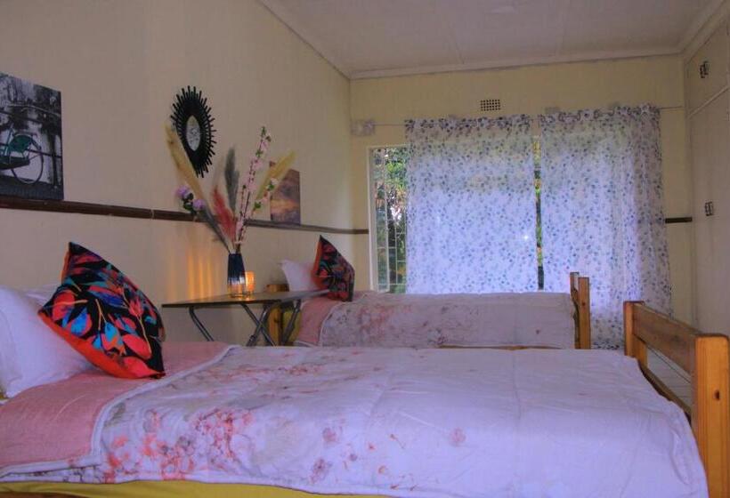 اتاق اکونومی, Nelsguest