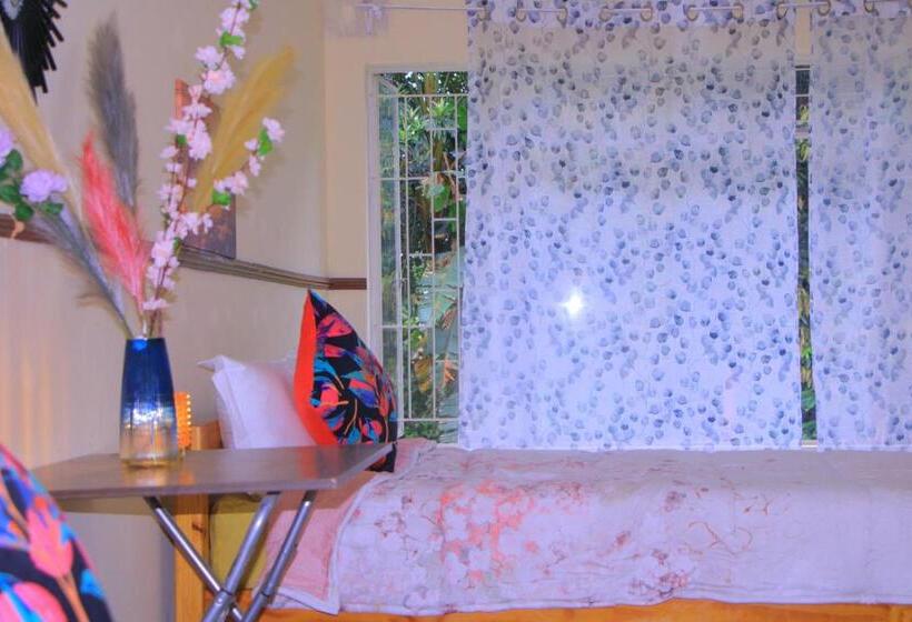 اتاق اکونومی, Nelsguest