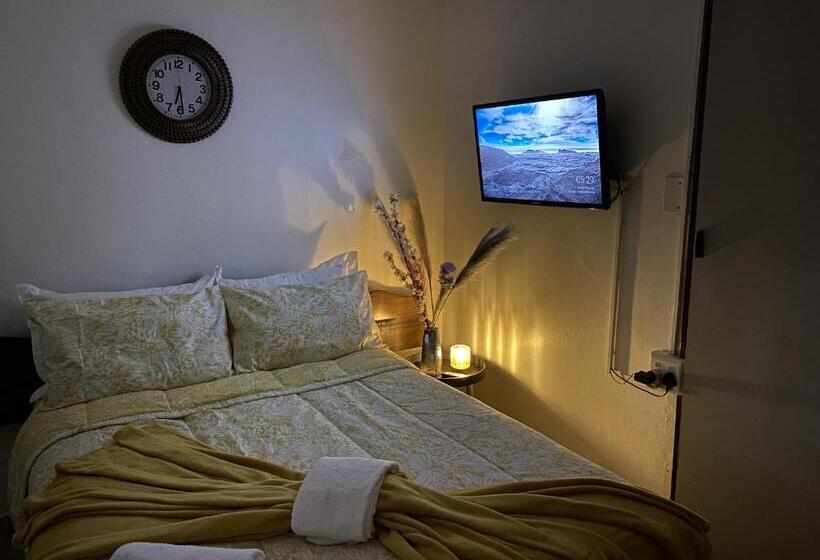 اتاق اکونومی, Nelsguest