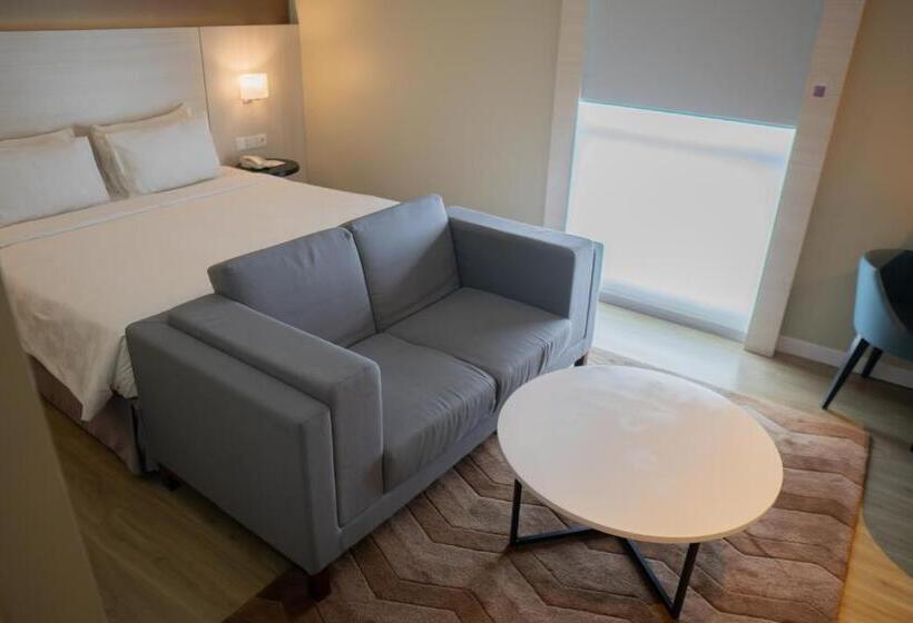 주니어 스위트, Swissbelinn Saripetojo Solo