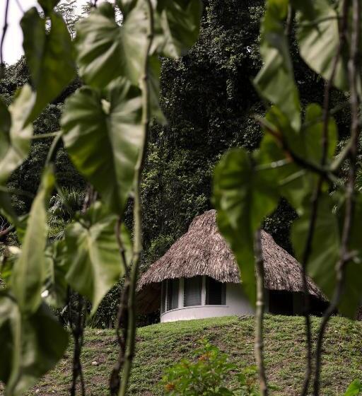 اتاق استاندارد با چشم‌انداز باغ, Jade Jungle Resort