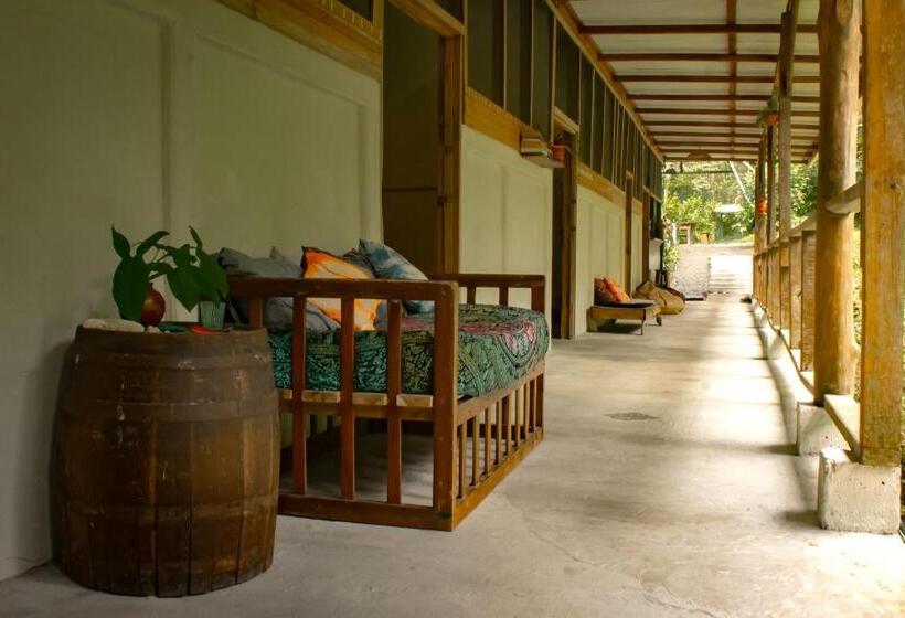 اتاق استاندارد با سرویس بهداشتی مشترک, Casa Raiz